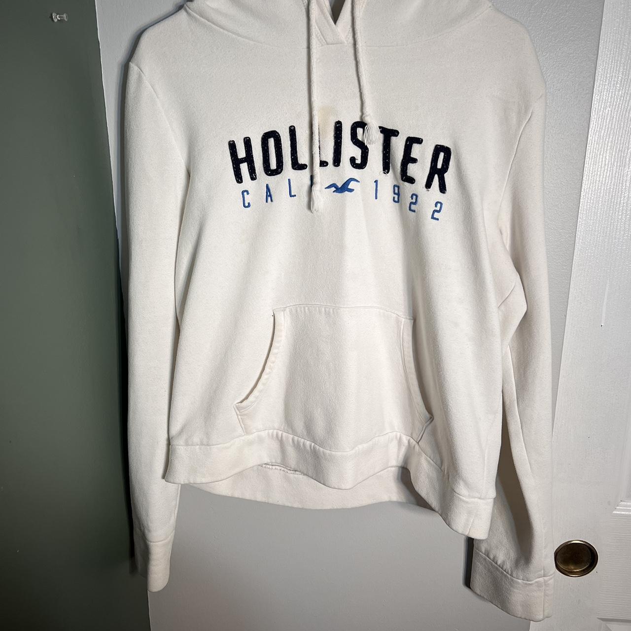 Hollister on sale hoodie logo