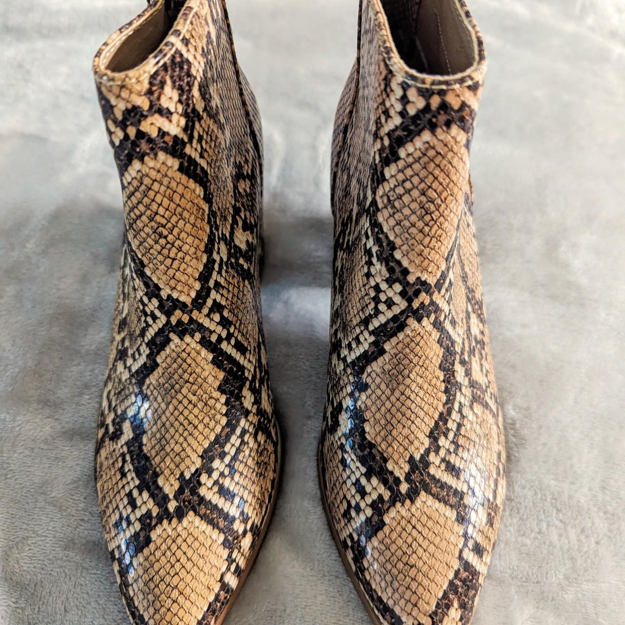 Steve madden snakeskin ankle boots online