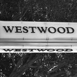 vivionwestwood's profile picture