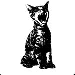yesterdayvin's profile picture