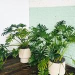 333barns_thrift's profile picture