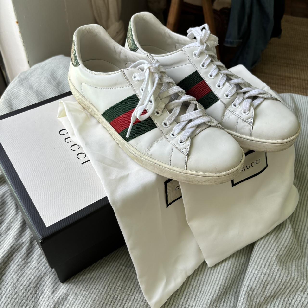 Gucci ace hot sale sneakers used