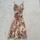 item listed by mayflower_collection