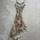 item listed by mayflower_collection