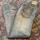item listed by shopsellship