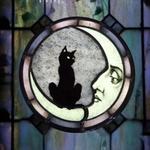 discofever's profile picture