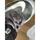 item listed by ruben9929