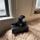 item listed by egu_collections