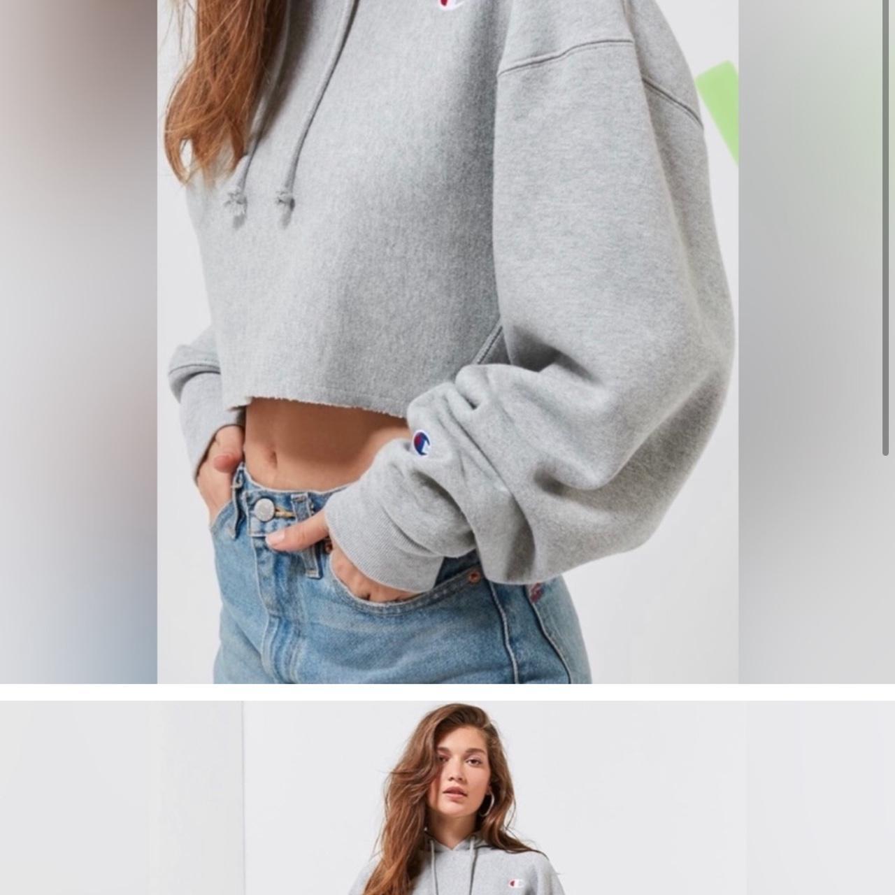 Champion cropped deals hoodie grey