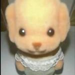 arenasizzy9's profile picture