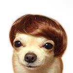 tobias_blueman's profile picture