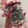 item listed by aliciaelena