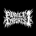 purile1imports's profile picture