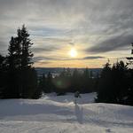 lauraannabel49's profile picture