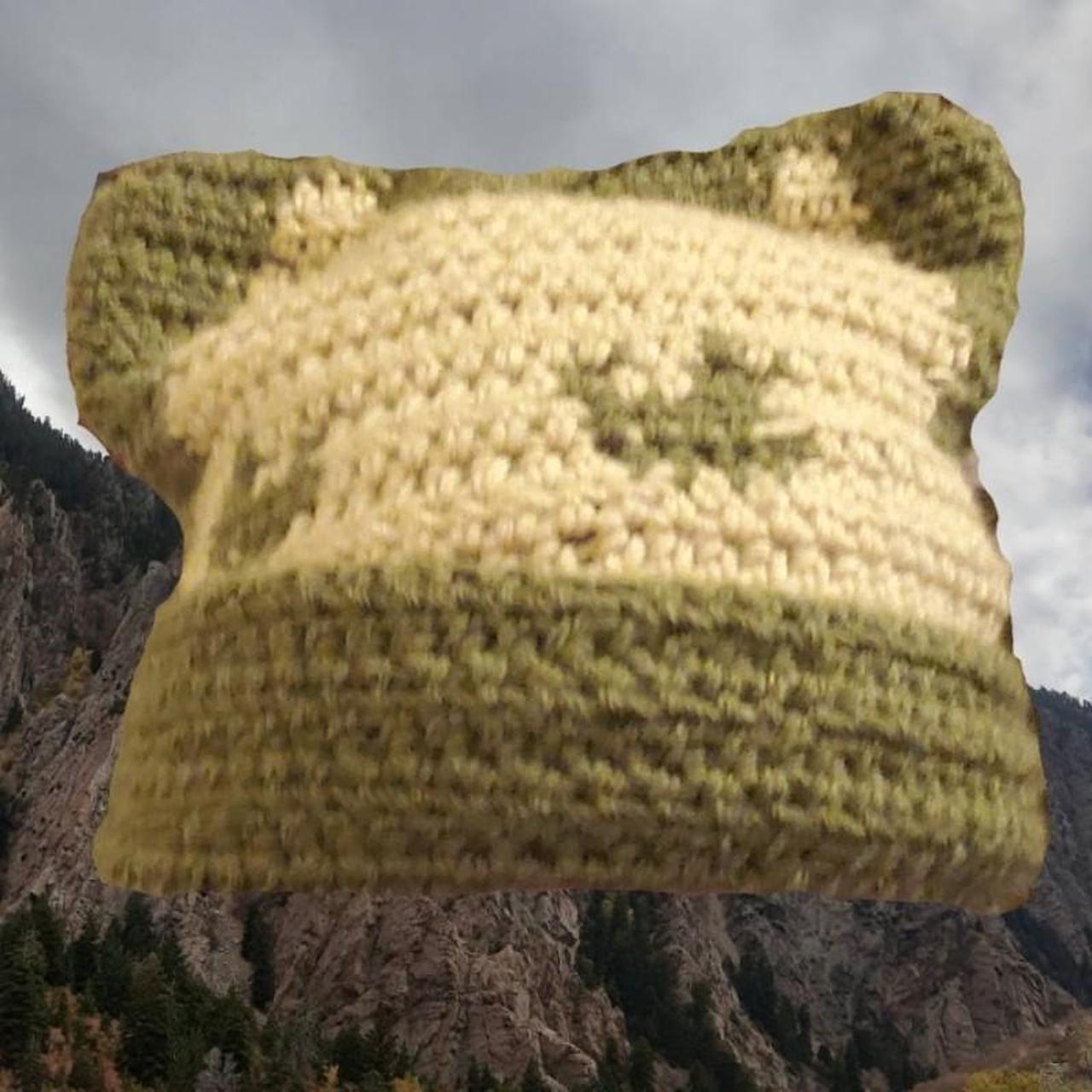 crocheted cat beanie ^-^ homemade, one of a Depop