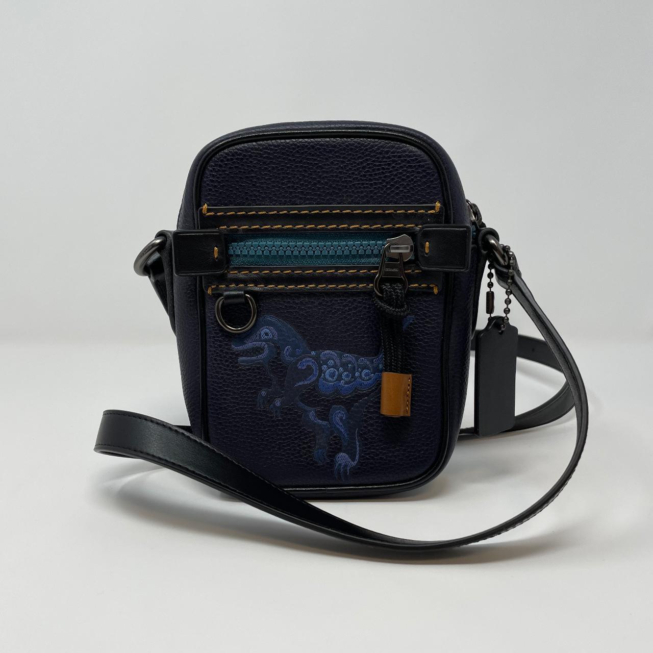 Coach Dylan 10 With Rexy By Zhu Jingyi This bag was