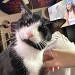 olliee222's profile picture