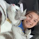 sbell_2's profile picture