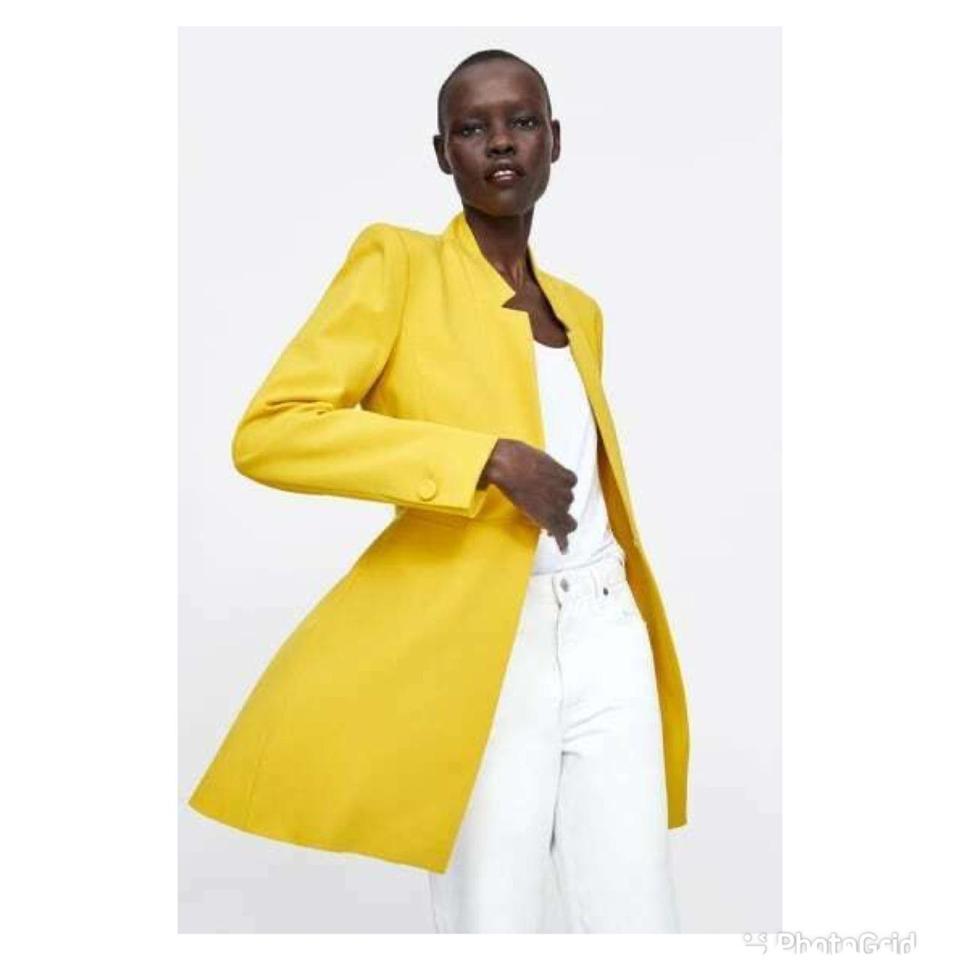 Zara inverted lapel frock sales coat