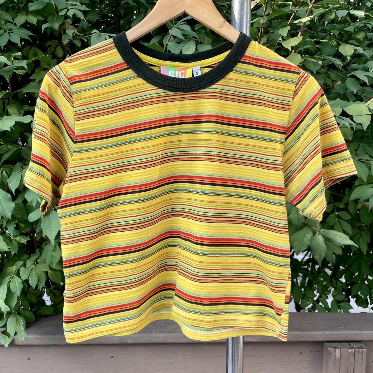 Big Bud Press cropped striped tee in discontinued... - Depop