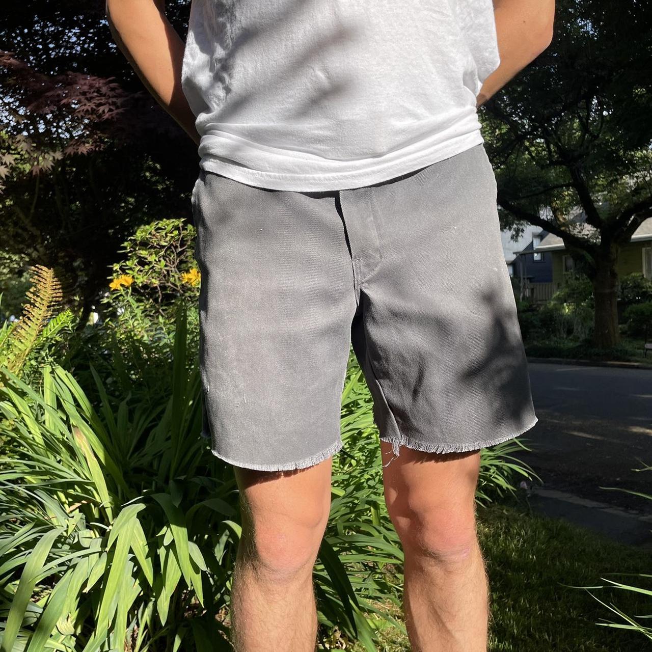 Dickies on sale hybrid shorts