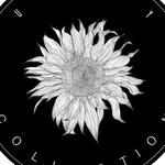 suunnyscollection's profile picture