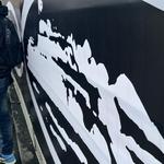 cadell_dfr's profile picture