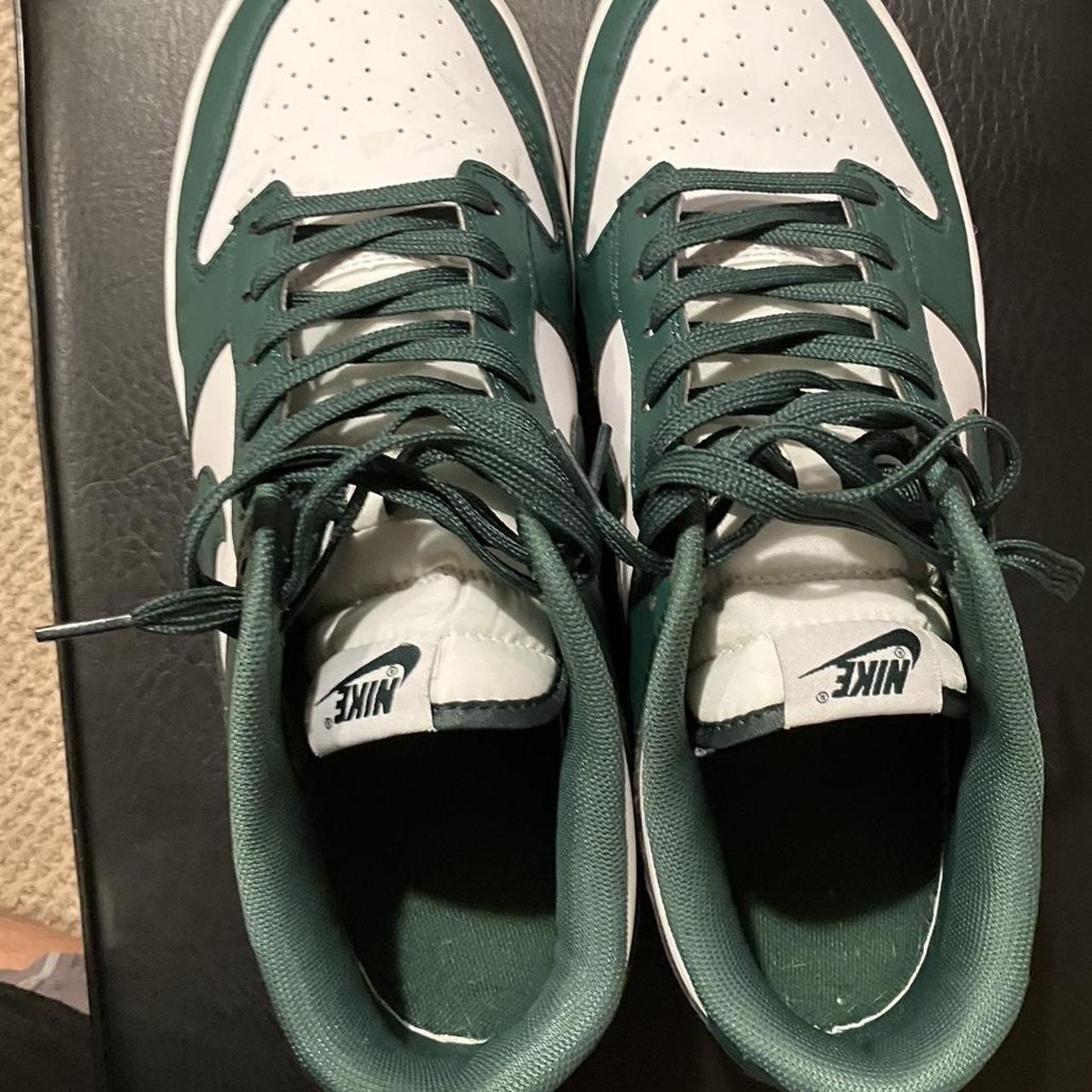 msu nike dunks