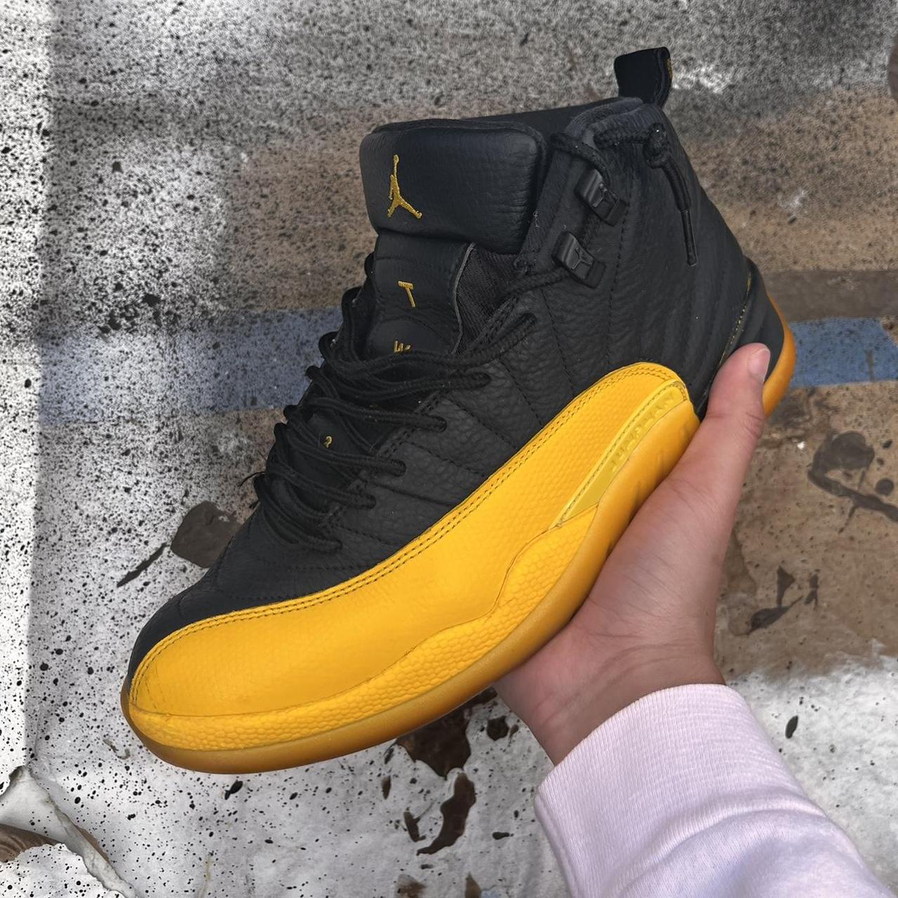 size 9 jordan 12