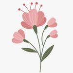 thrifty_girl44's profile picture