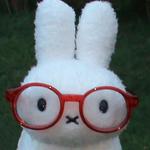 mystykat1010's profile picture