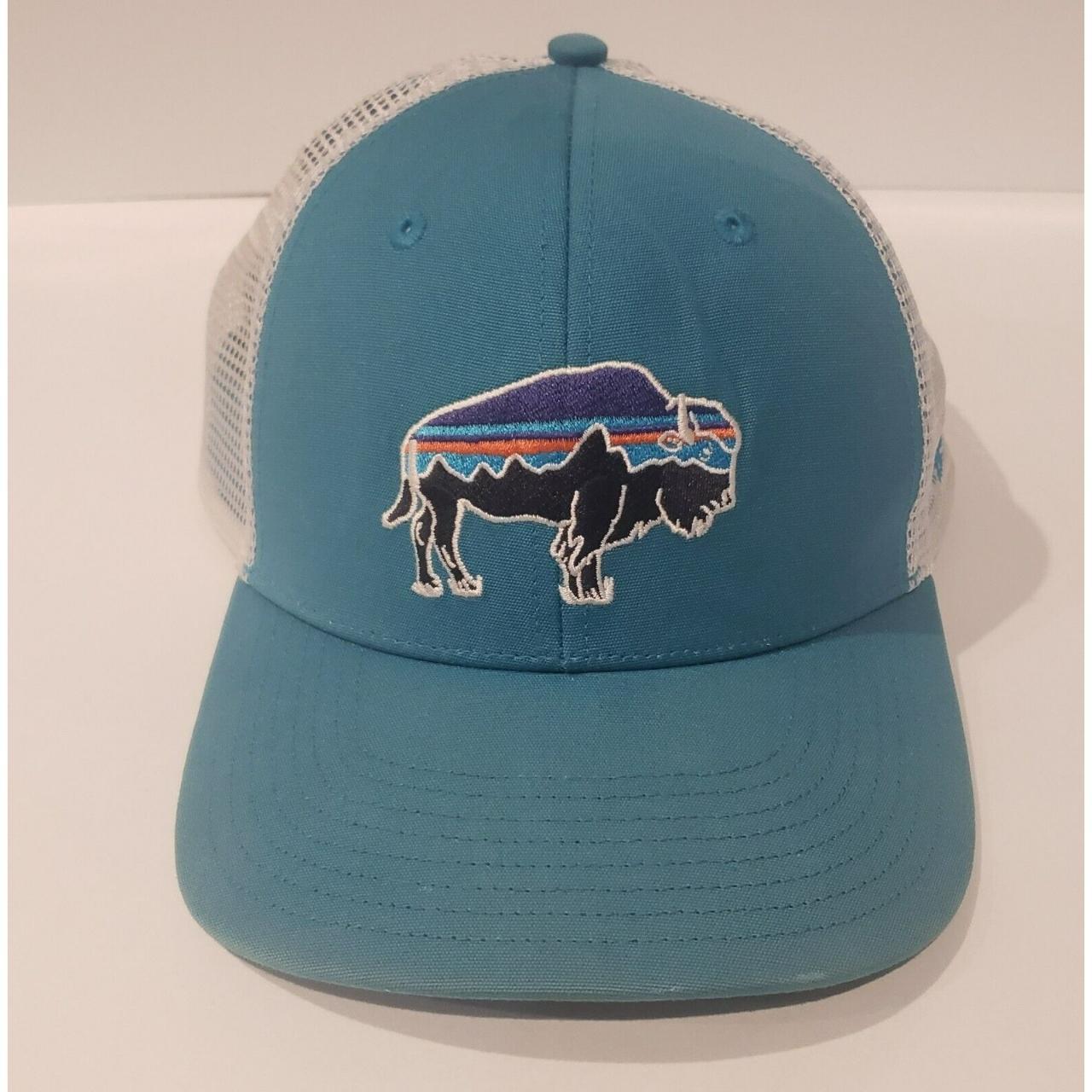 Patagonia / Fitz Roy Bison LoPro Trucker Hat