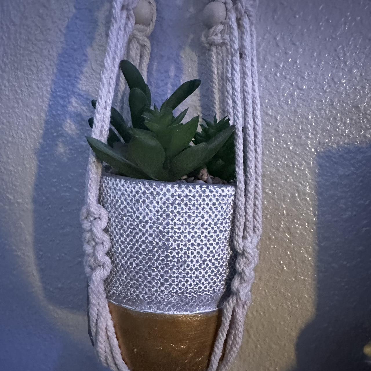 hanging plant Depop
