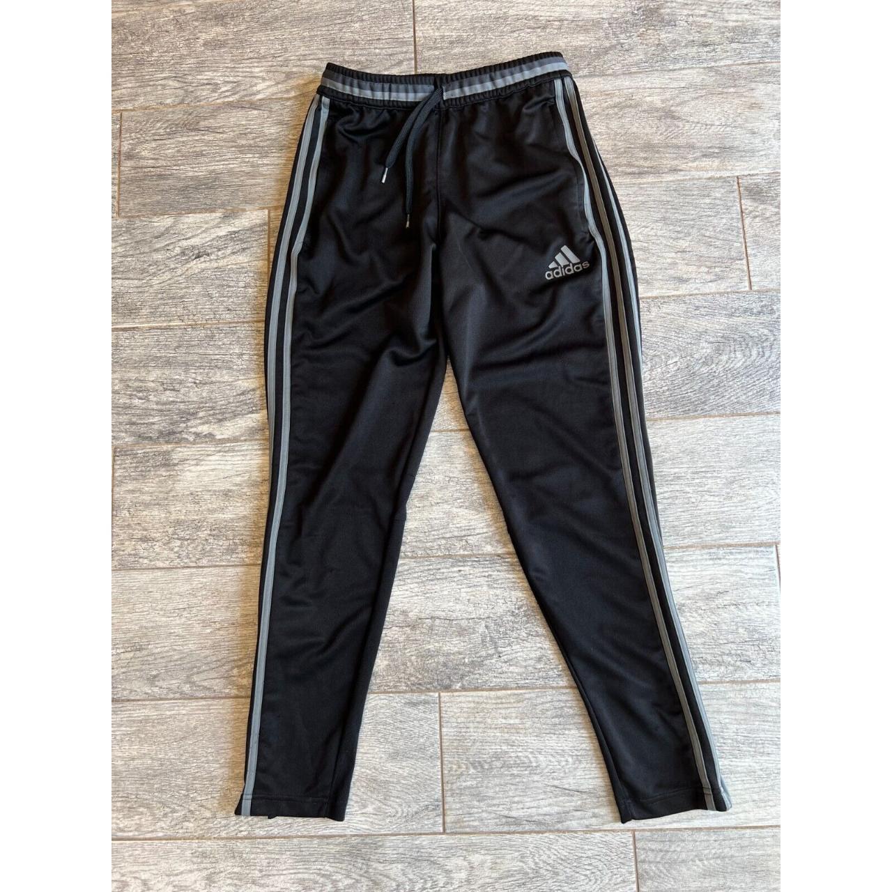 Adidas track pants climacool online