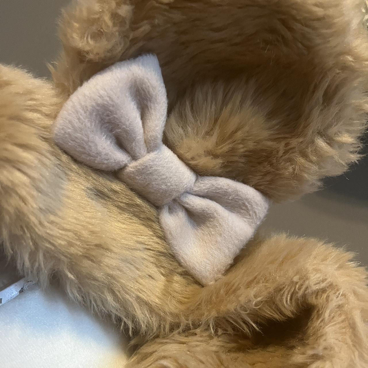 Teddy bear coat with ears on the hood, teddy bear... Depop