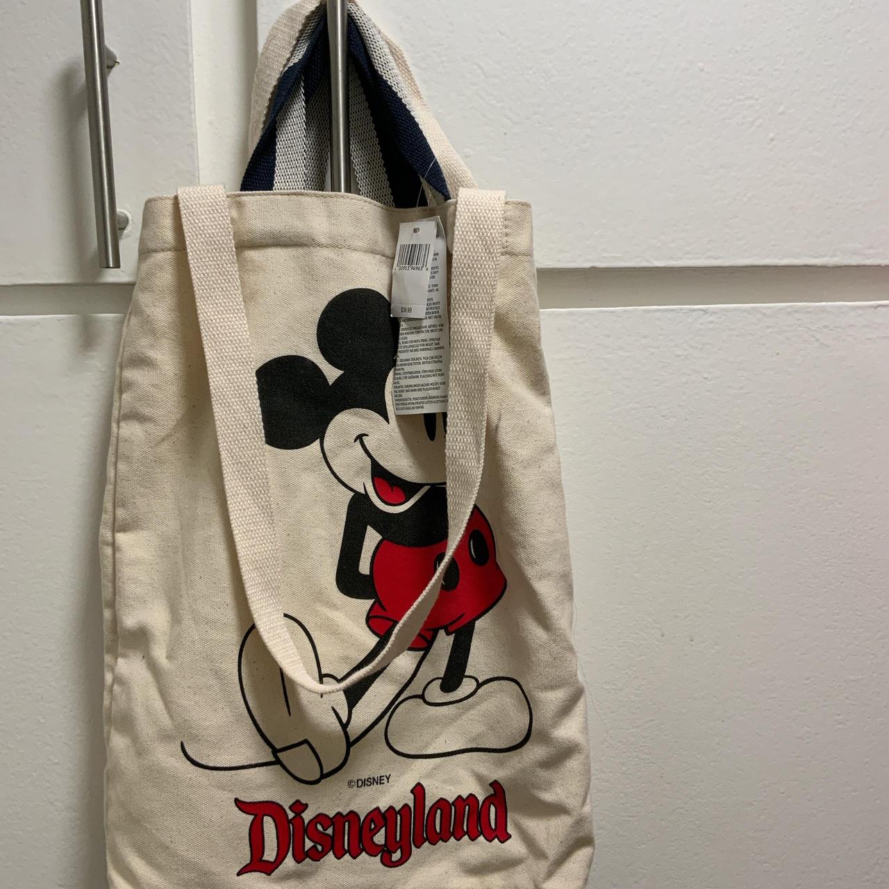 Disneyland bag Mickey. Depop