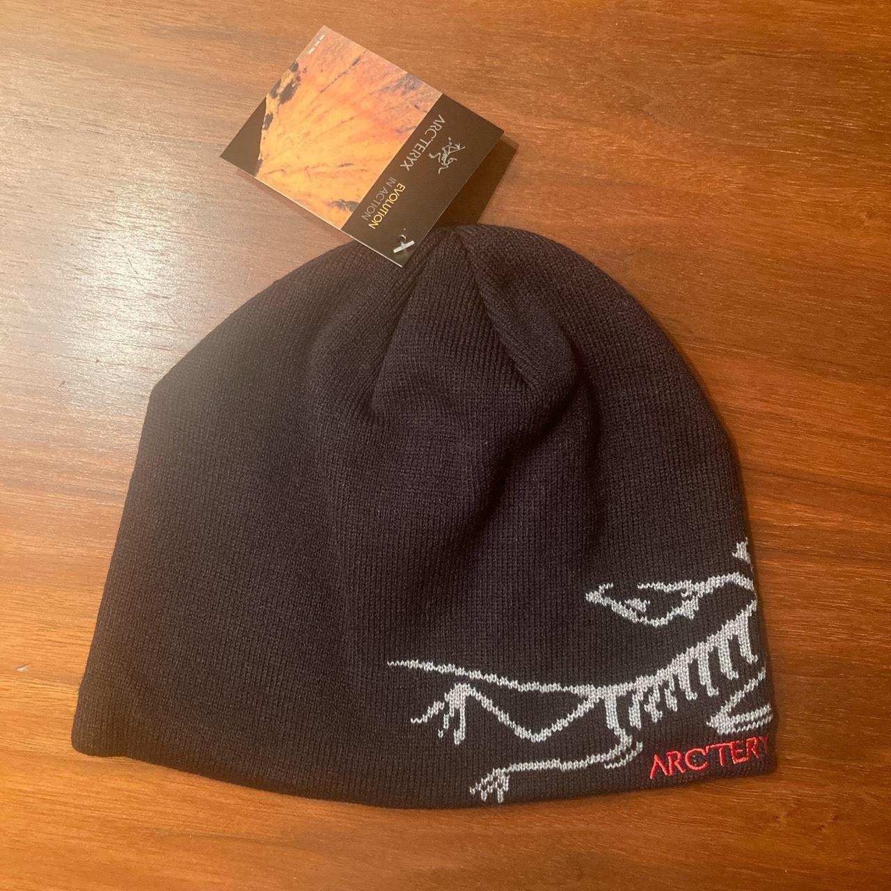 Arc´teryx beanie-