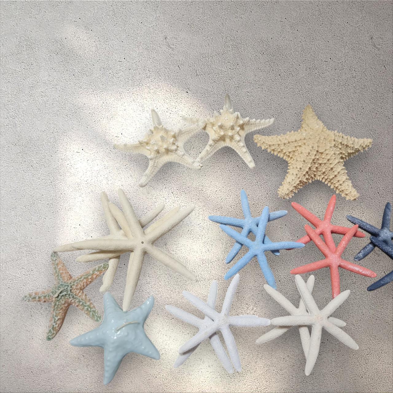 Multiple Starfish Different sizes. | Depop