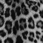 sophk_7's profile picture