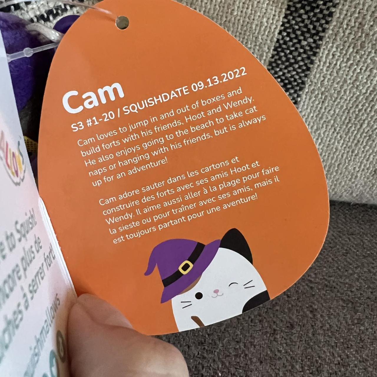 Squishmallow Cam the Calico Cat Vampire 4.5” plush. - Depop