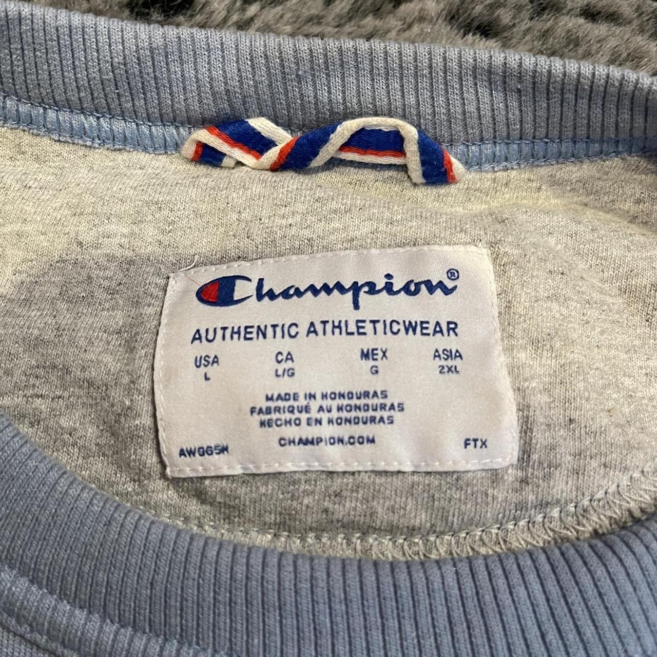 Champion hot sale blue jumper