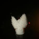 rylcn's profile picture