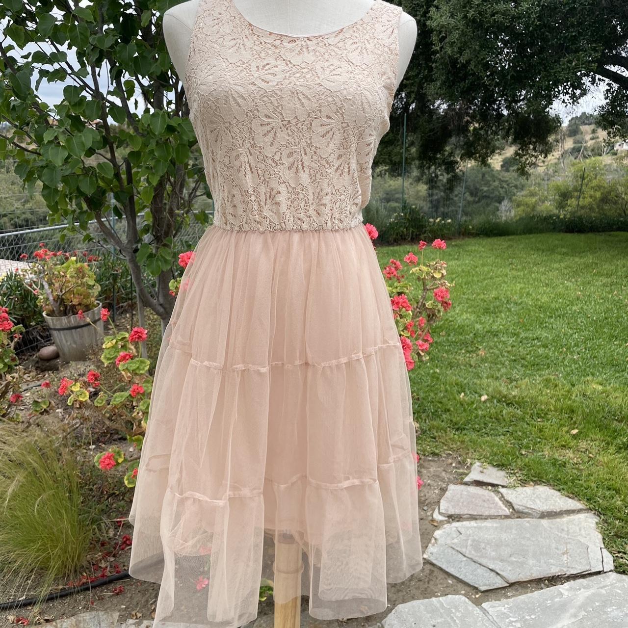 American Rag fit and flare lace and tulle blush...
