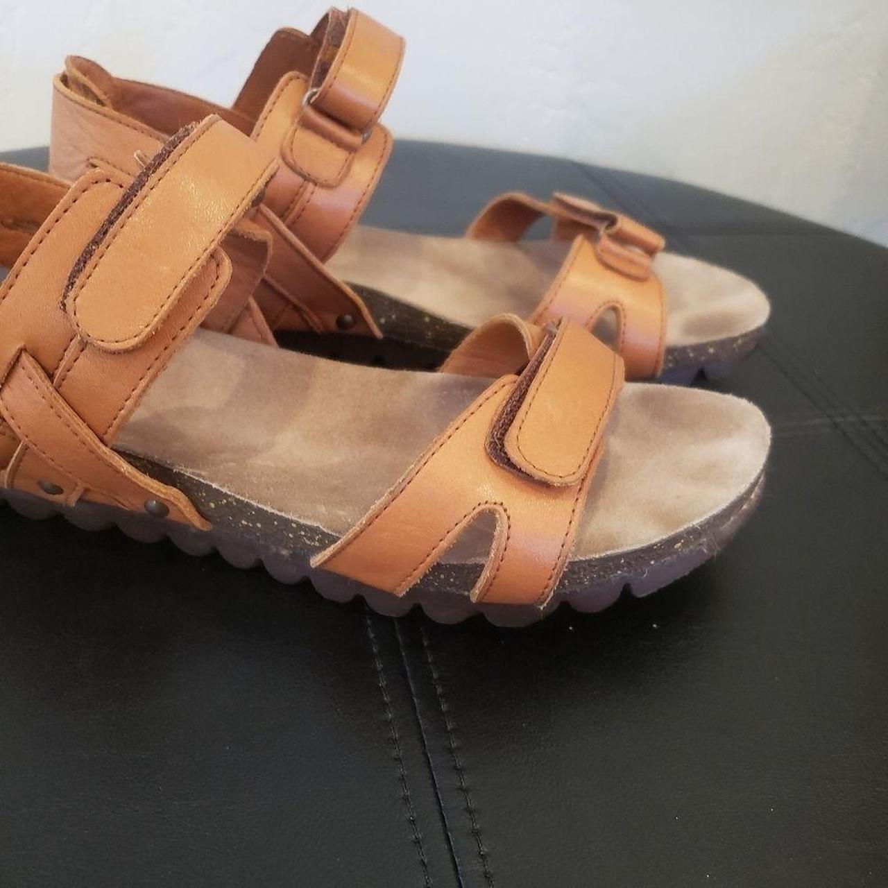 Clarks vextor hot sale sandals