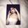 item listed by luvly_daisy