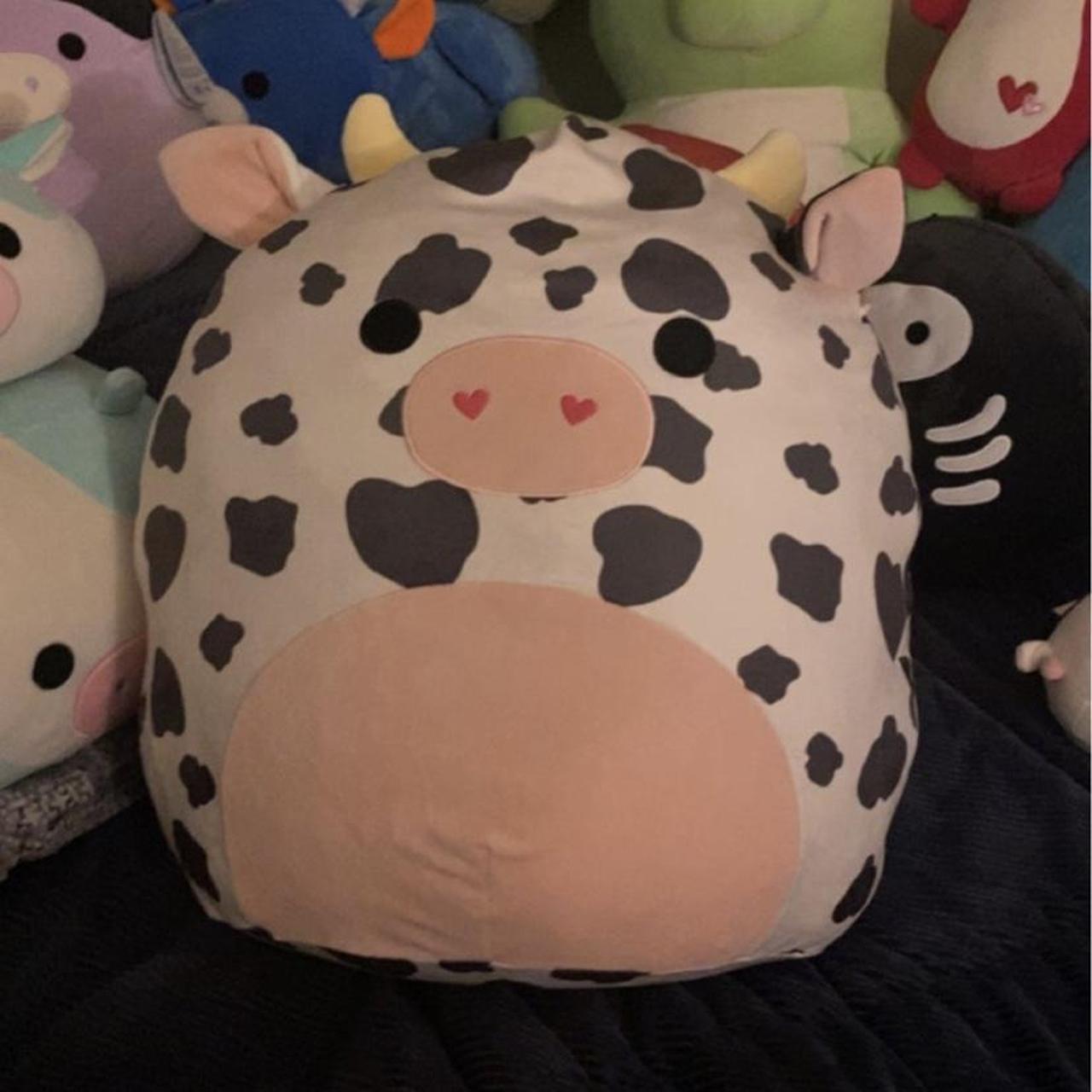 Squishmallow Valentines Colin on sale the Cow