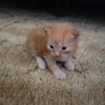 unotayeshaenough's profile picture