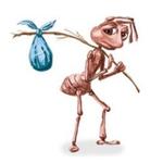 h8chriss's profile picture