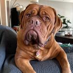 littlesliceofpie's profile picture