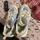item listed by glendysheartswomen